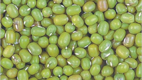 Moong