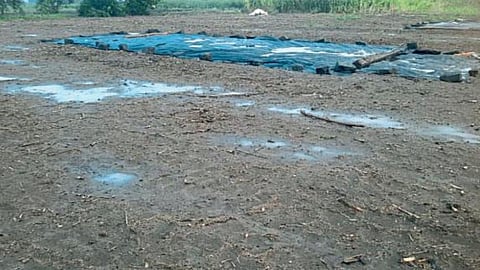Crop Damage