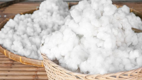 Cotton Market