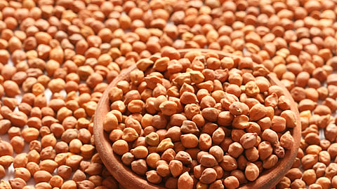 Chana MSP