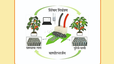 Irrigation Management