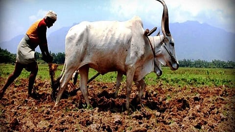 Agriculture