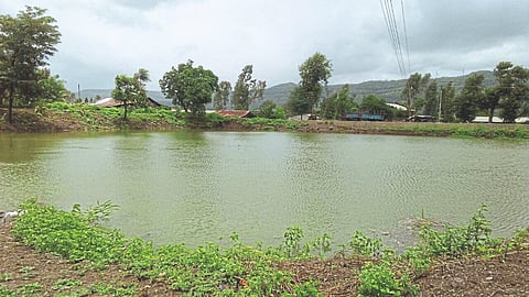 Water Management