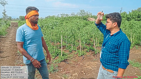 Panpimpari Production