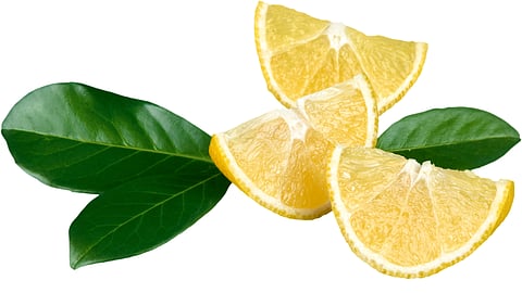 lemon Cutting Machine