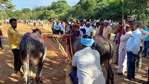 Bail Gada Sharyat