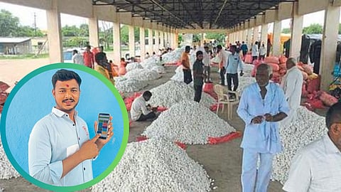 Silk Cocoon Market