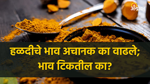Turmeric Market