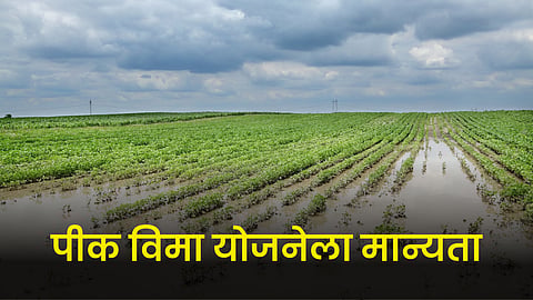 Crop Insurance