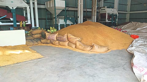 Farmer Company