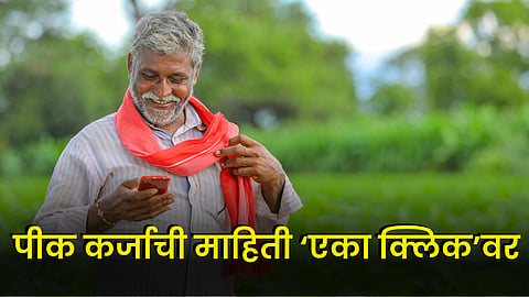 Crop Loan