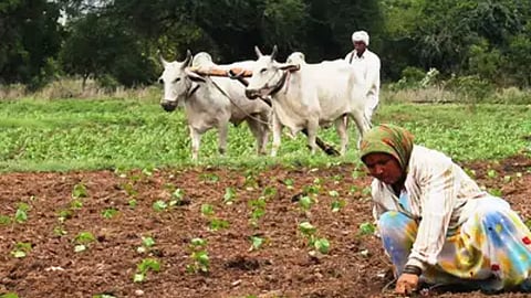 Monsoon-Sowing Season