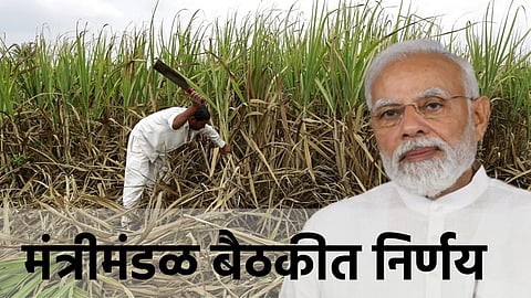 FRP of sugarcane