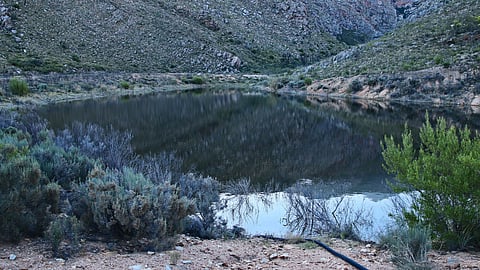 Water News