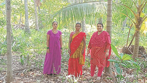 Agri Tourism Center