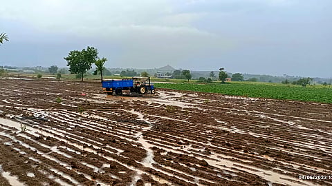 Monsoon Rain