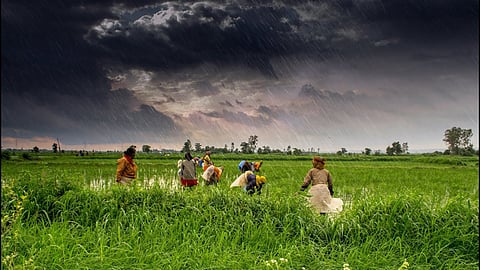 Indian Agriculture