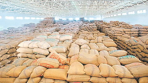 Agriculture Warehouse