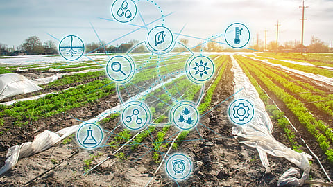 Agriculture Startup