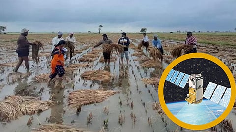 Crop Damage