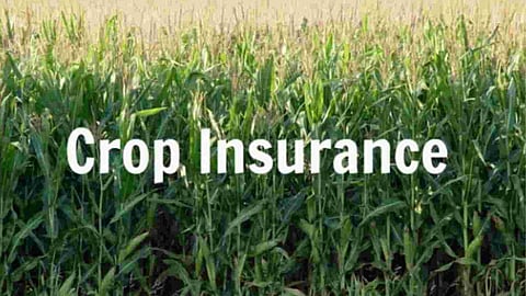 Crop Insurance Update
