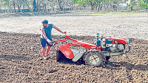 Sowing