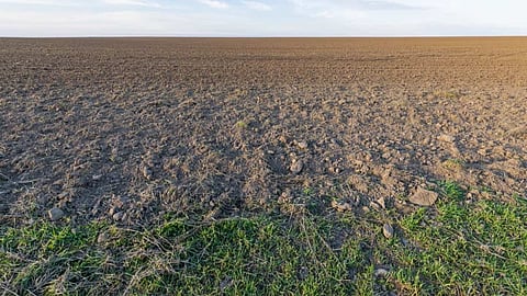 Dry Land Update