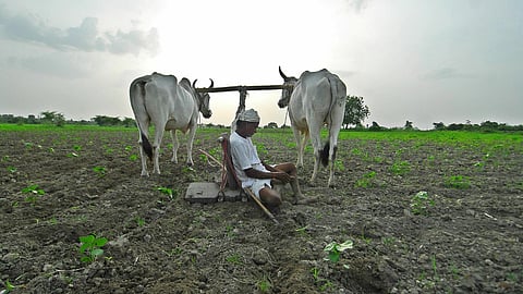 Kharif Sowing