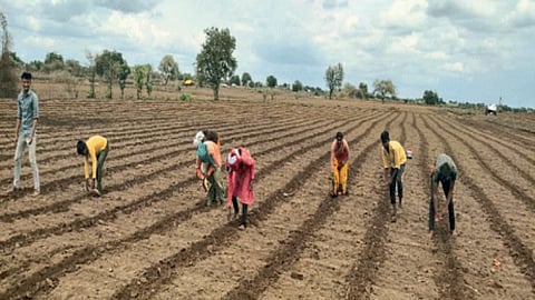 Agriculture