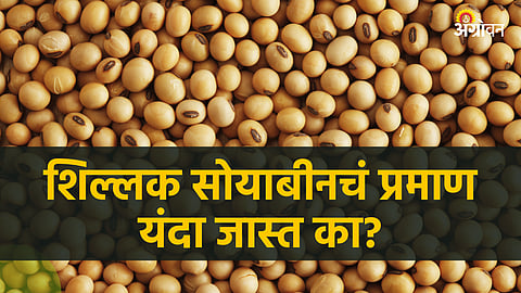Soybean Market