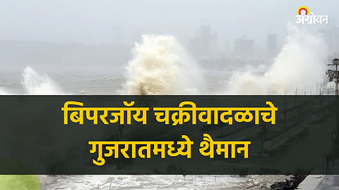 Biporjoy Cyclone Gujrat Update