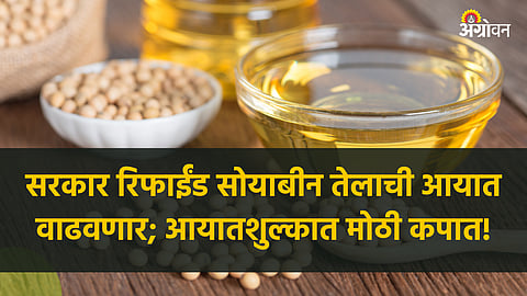 Soybean Market