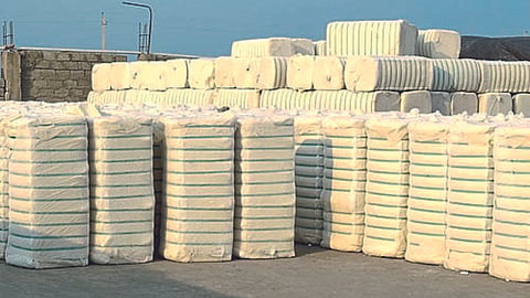 Cotton Market