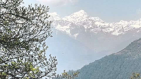 Nepal Update