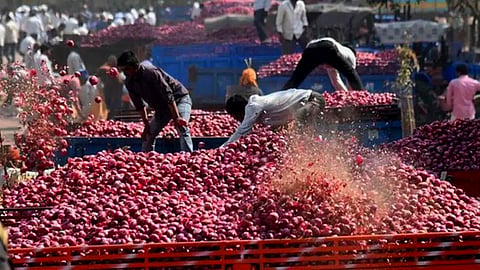 Onion Market