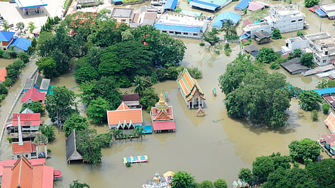 Natural Disaster Management