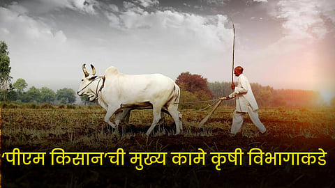 PM Kisan