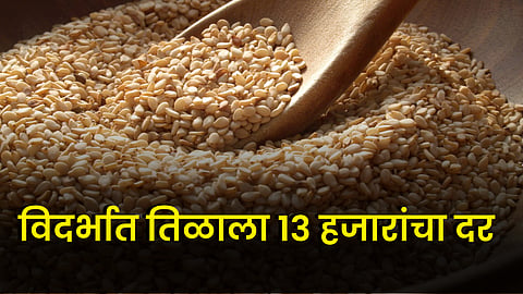 Sesame Rate