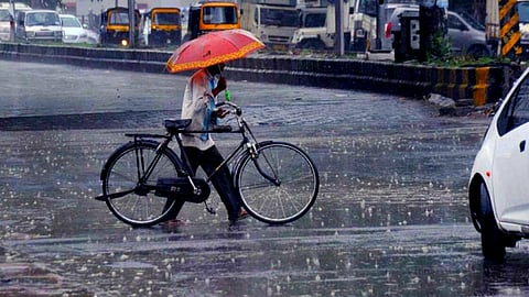 Monsoon Rain