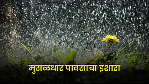 Rain Update