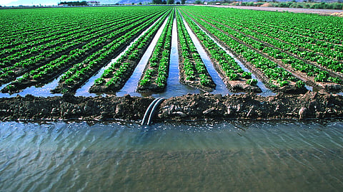 Agriculture Irrigation