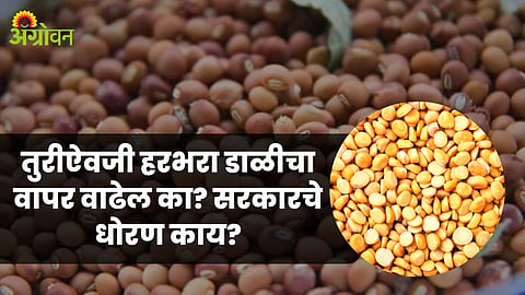 Chana Market