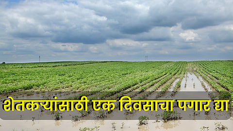 Crop Damage