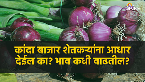 Onion Market