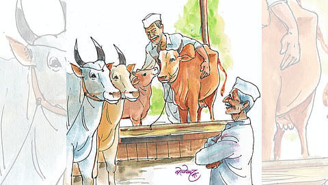 Rural Culture