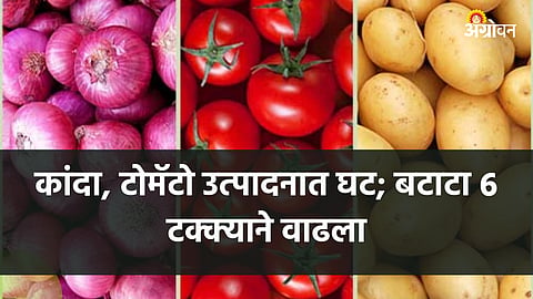Horticulture Production