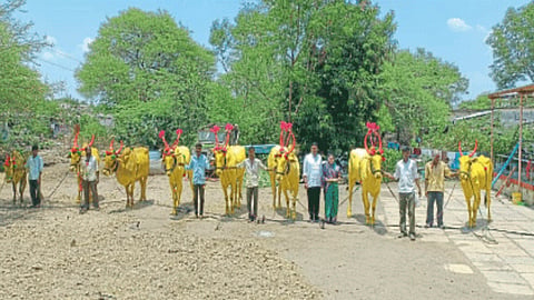 Karnataka bailpola