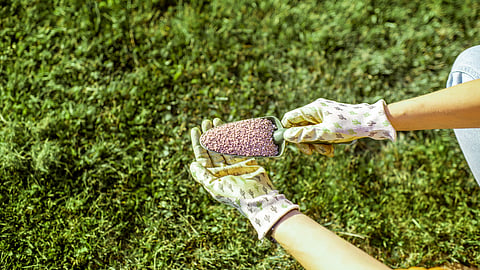 Fertilizer Update
