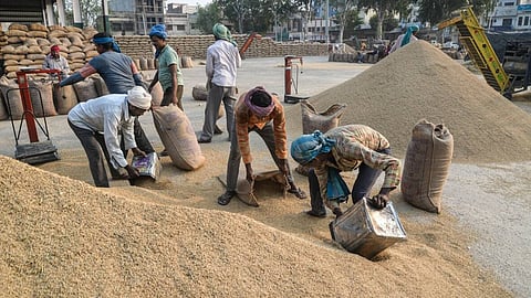 Illegal Grain Procurement