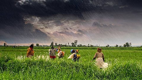 Agriculture